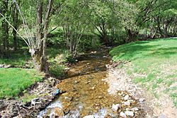 Woods Point Goulburn River 001