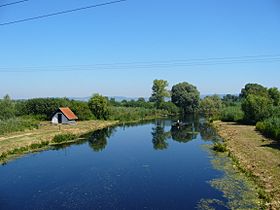 Zala estuary