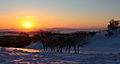 坝上雪原夕阳（路人） - panoramio