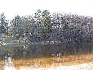 Black Moshannon SP Museum