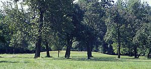 Cahokia Mound 72