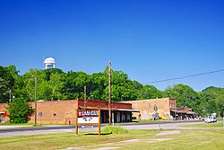 Businesses along SR 72