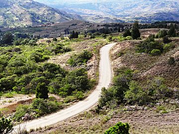 Carretera rural Raquira