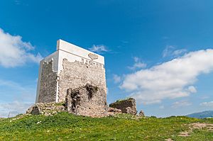 Castillo de Matrera en Villamartín.jpg