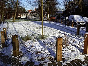 Chorlton Green - geograph.org.uk - 266976.jpg