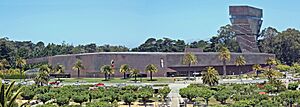 De Young Museum pano