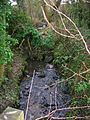 Fergushill Burn