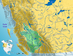 Fraser River Watershed.png