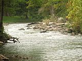 Guadalupe River in Gruene, TX IMG 5522