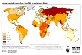 Injury Mortality Rate, 2008