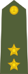 Lieutenant of the Indian Army.svg