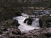 Linton Falls, River Wharfe