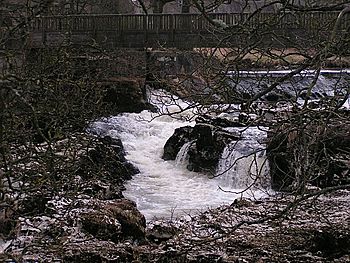 Linton Falls, River Wharfe.jpg