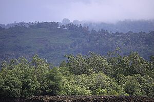 Malaita, Solomon Island (23275357656)