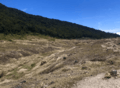 Montane Savannah Landscape in West Java