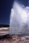 Pink cone geyser.jpg