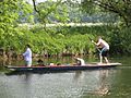 Punting at Grantchester