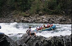 Sabre Tooth Rapids