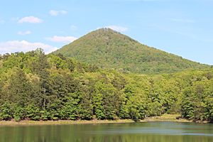 Sharp Top Mountain, Pickens County, Georgia