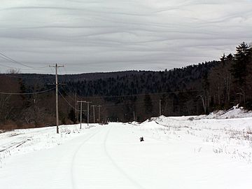 Shavers Mountain - Cheat Bridge.jpg