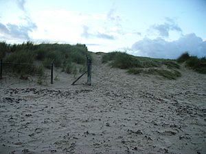 Studlandfencing