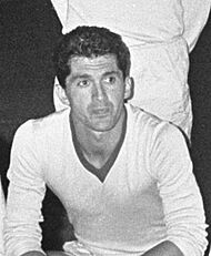 Virgil Dridea (1966)