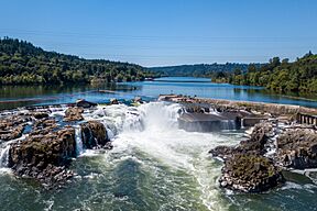 Willamette Falls