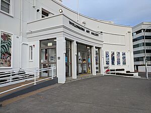 Wollongong Art Gallery August 2020