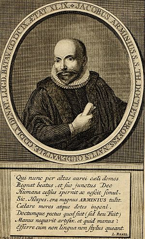 Arminius2 50