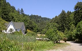 Audubon Canyon Ranch 3435.jpg