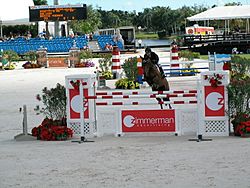 Beezie Madden Onlight WEF 2008