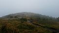 Black Balsam Knob Autumn