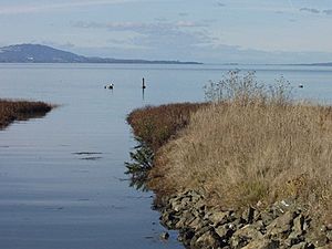 Breuner Marsh