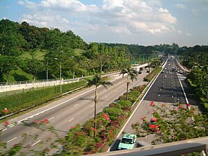 Bukit Timah Expressway