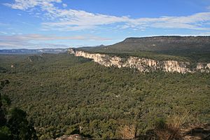 Carnarvon Gorge from Boolimba Bluff 01.07.2010