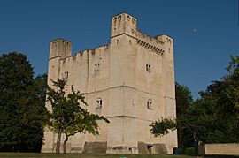 The stone donjon at Chambois