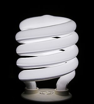 Compact-Fluorescent-Bulb