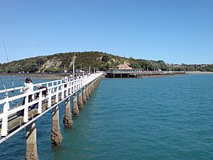 Fishing Fish Off Bastion Point, Auckland