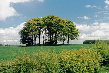 Garrowby Hill tumulus.jpg