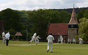 Grayswood cricket 2015