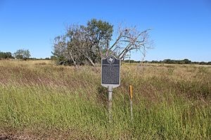 Site of a former community in Waelder