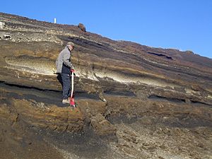 Icelandic tephra