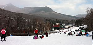 Loon mountain sarsaparilla