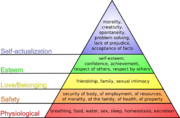 Maslow's hierarchy of needs