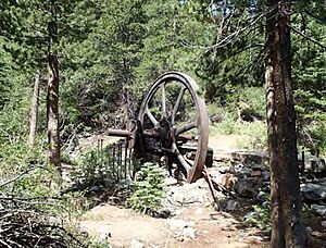 Ruins of stamp mill flywheel