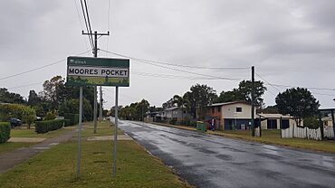 Moores Pocket 2023.jpg