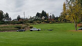 Neighborhood at Point Defiance