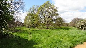 Pevensey Road Nature Reserve 3