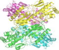 Phosphofructokinase 6PFK wpmp