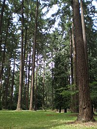 Pier Park, Portland, Oregon.JPG